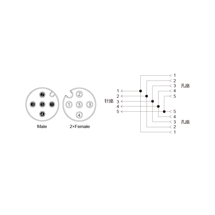 Y-EAM5-2EAF5-2-2/C00/PAR