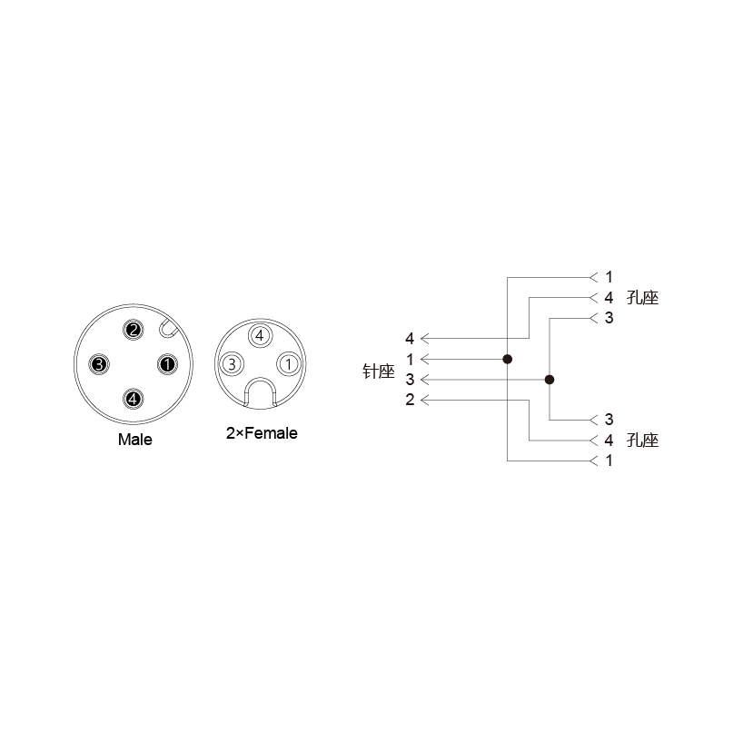 Y-EAM4-2SAF3-2-2/C00