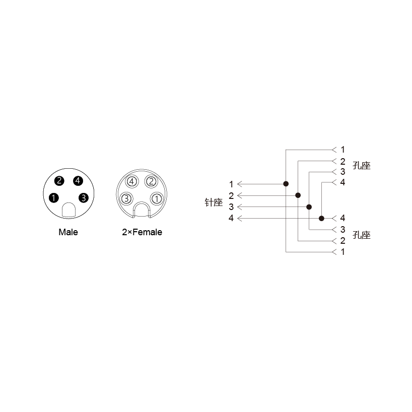 Y-SAM4-2SAF4-2-2/C00/PAR