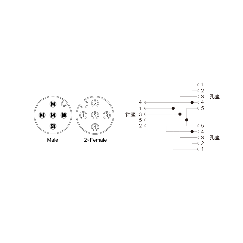 Y-EAM5-2EAF5-2-2/C00/OAC